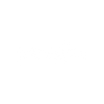 Paragon White Logo