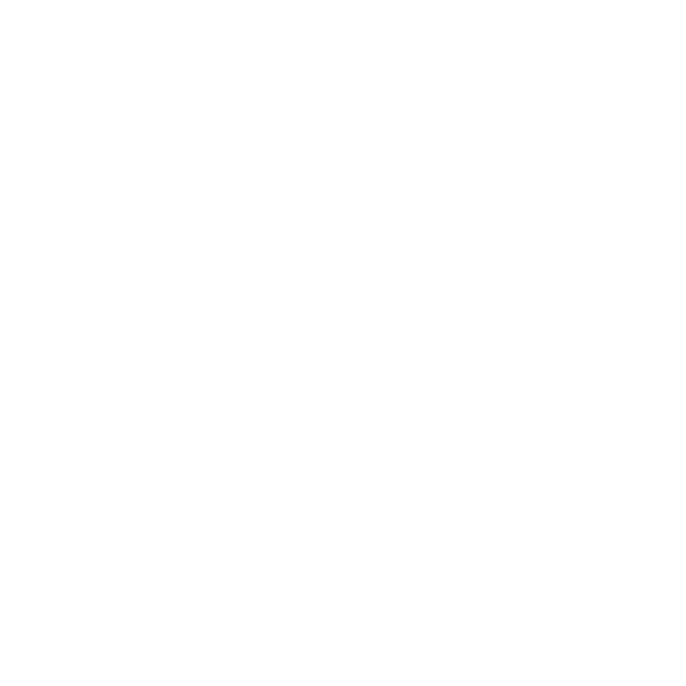 54 performance Logo