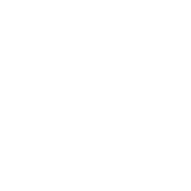 Creditsafe Logo