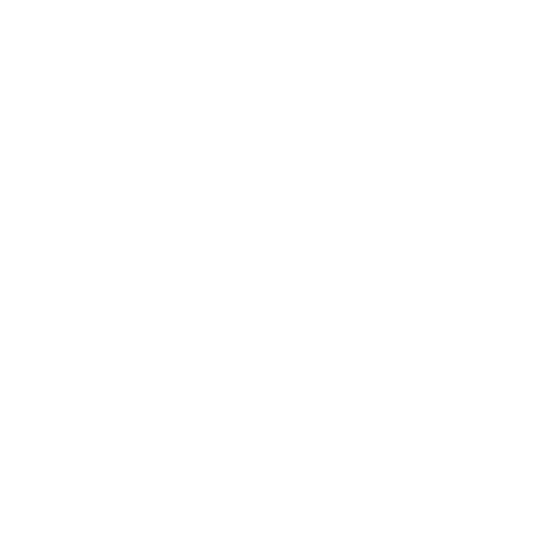 Paragon White Logo