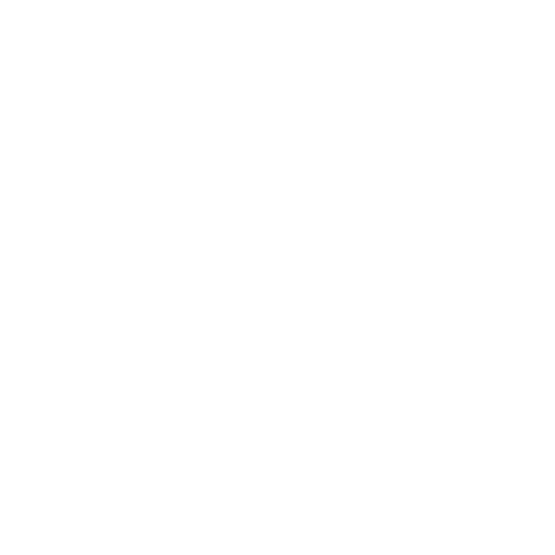 Seiko Logo