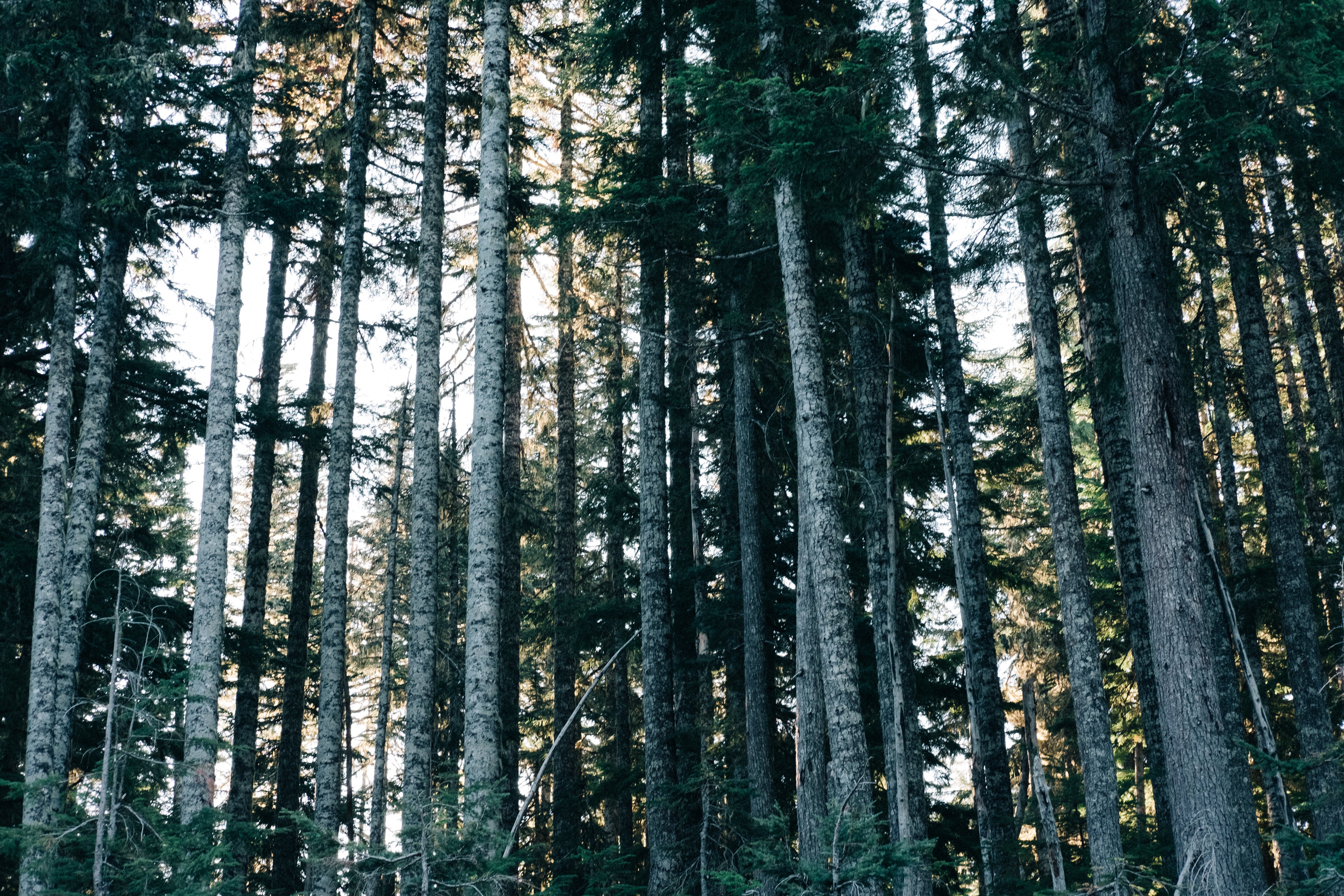 Sustainable Business cards
